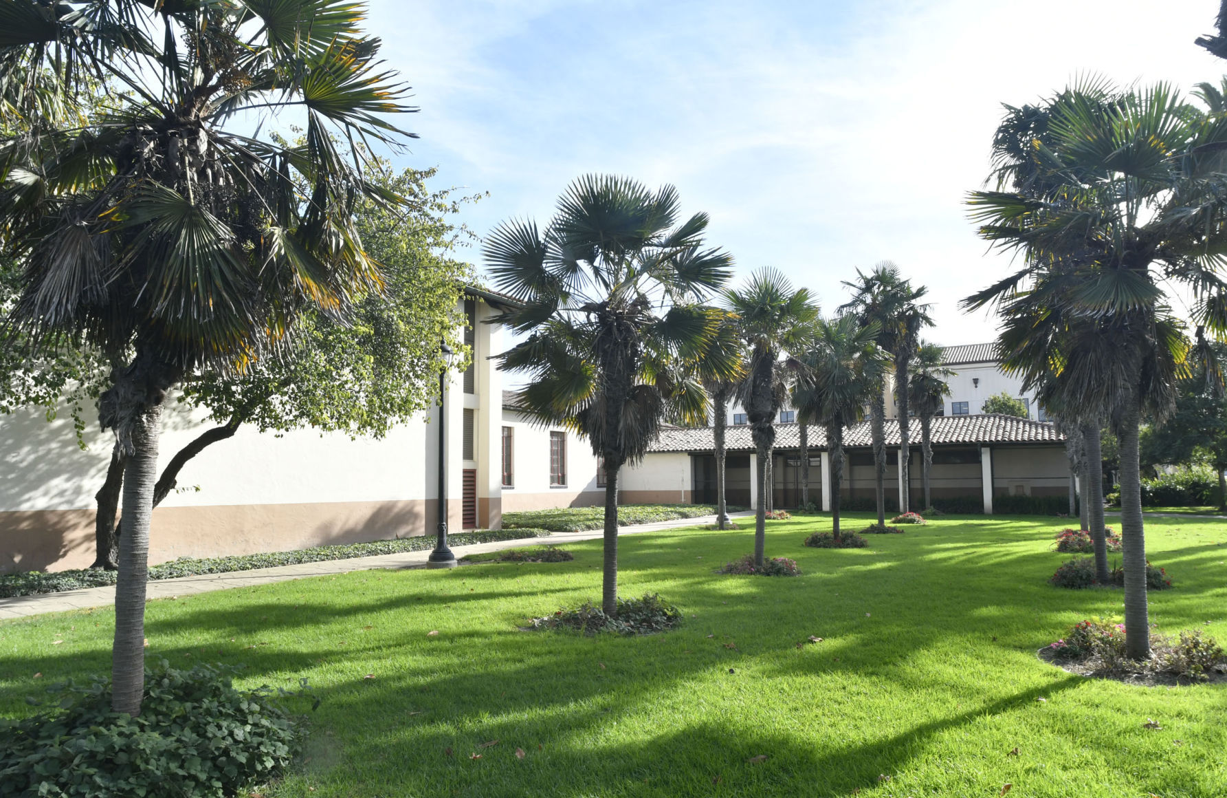 112817 Santa Maria palm trees .jpg